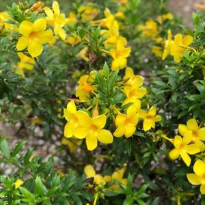 Meet your Posher, Ivanna